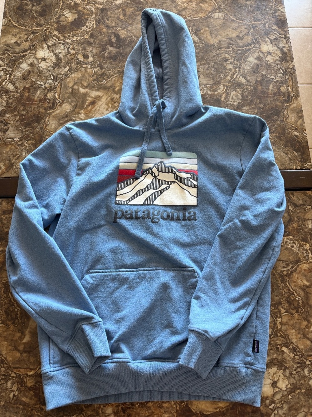 Patagonia Men's Hoodie